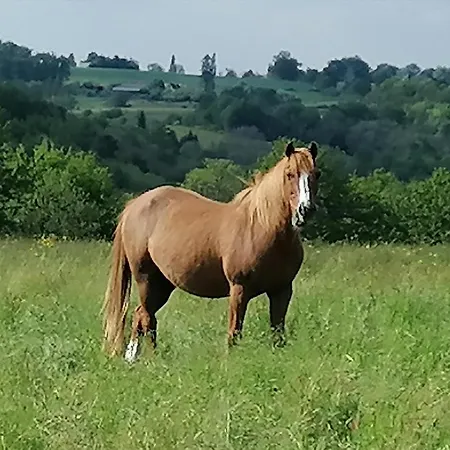 De La Tuiliere * Clermont-d'Excideuil