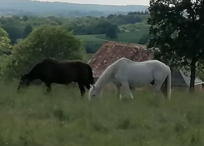 De La Tuiliere 度假居