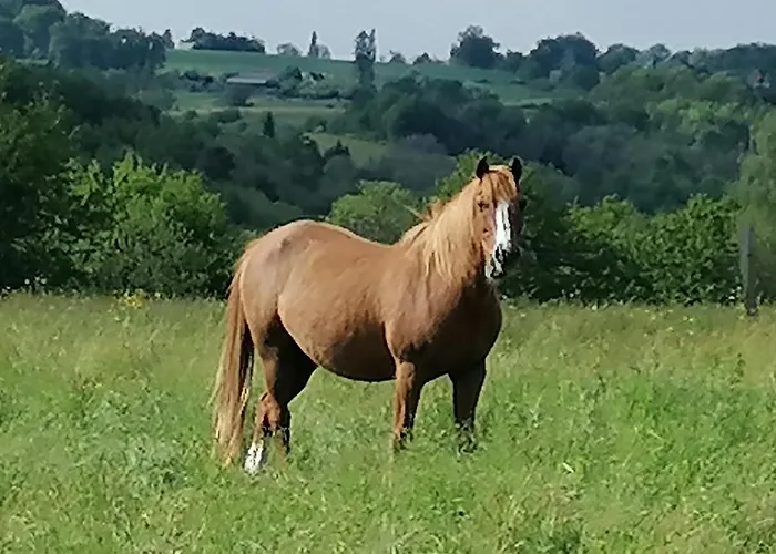 De La Tuiliere * Clermont-d'Excideuil