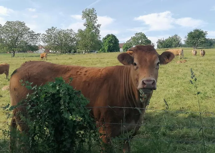 De La Tuiliere בית נופש *